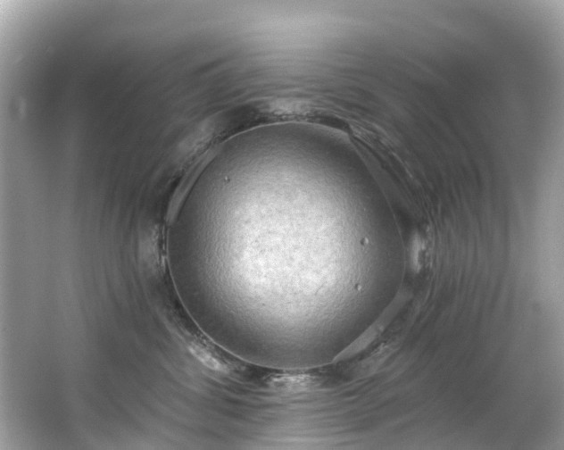 X0000063530428200601231546