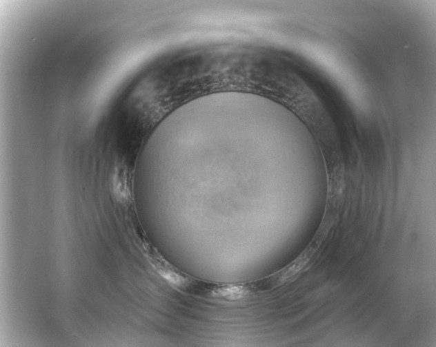 X0000063530431200601231546