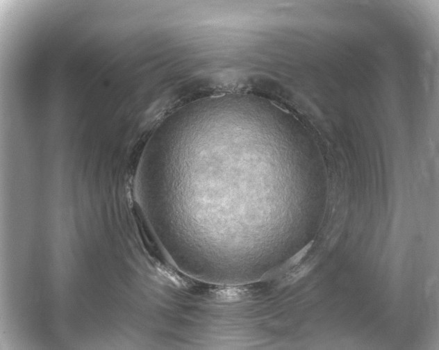 X0000063530432200601231546