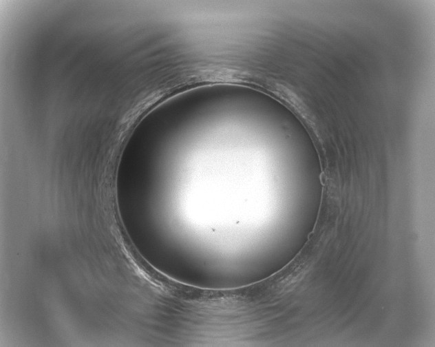 X0000063530433200601231546