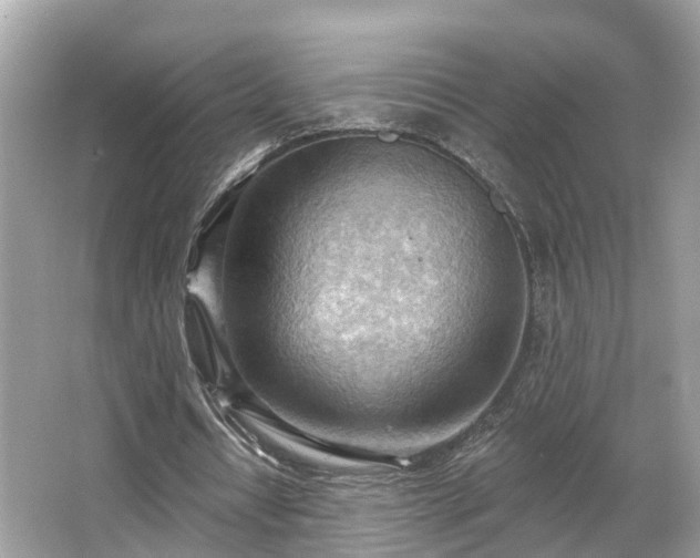 X0000063530434200601231546