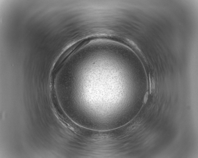 X0000063530435200601231546