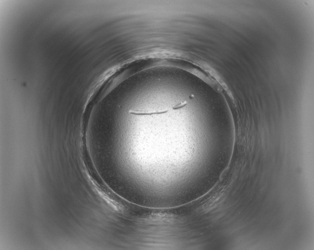 X0000063530437200601231546