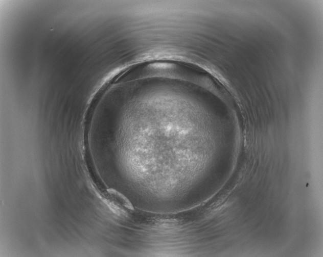 X0000063530438200601231546