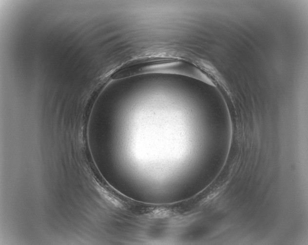 X0000063530441200601231546