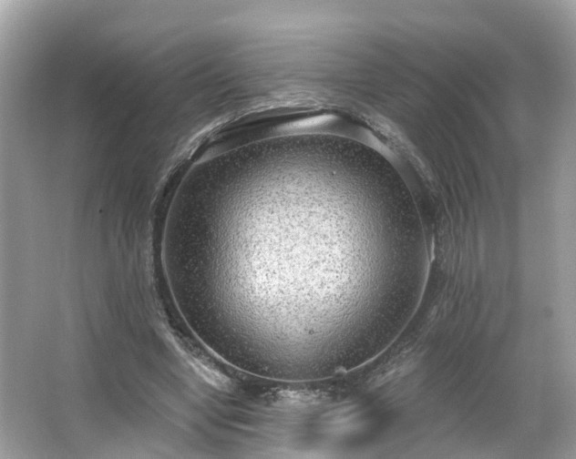 X0000063530442200601231546