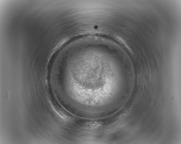 X0000063530443200601231546