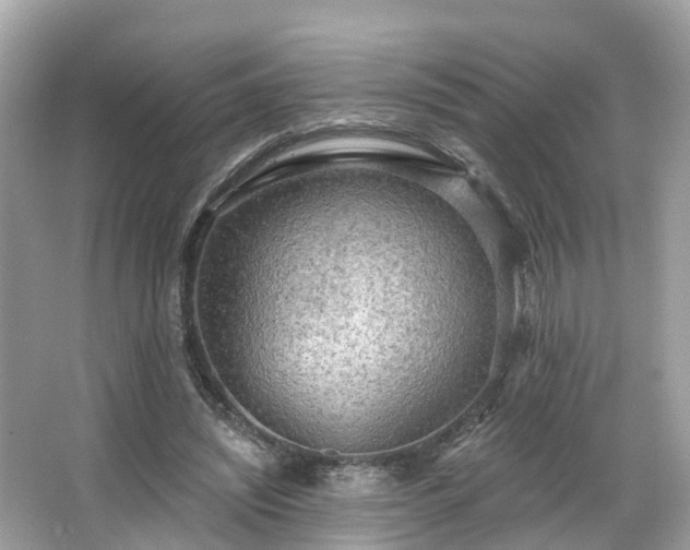 X0000063530444200601231546