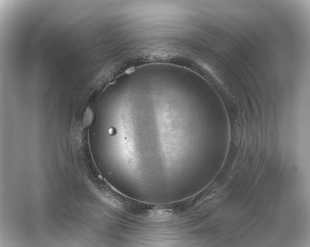 X0000063530451200601231546