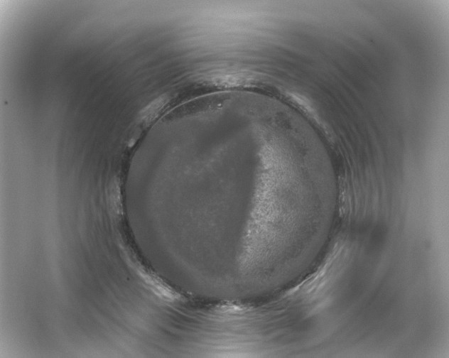 X0000063530453200601231546