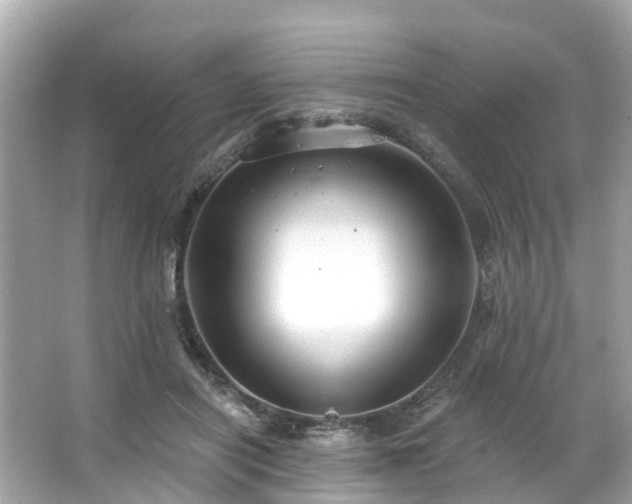 X0000063530454200601231546