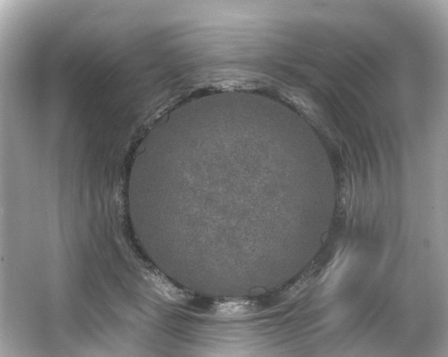 X0000063530461200601231546