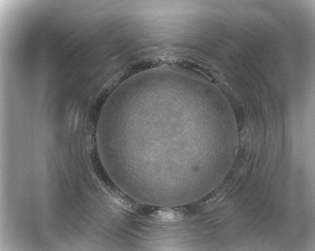 X0000063530464200601231546