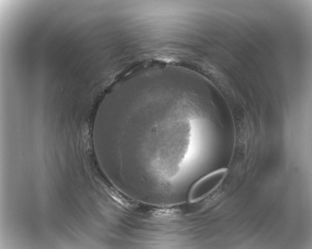 X0000063530465200601231546