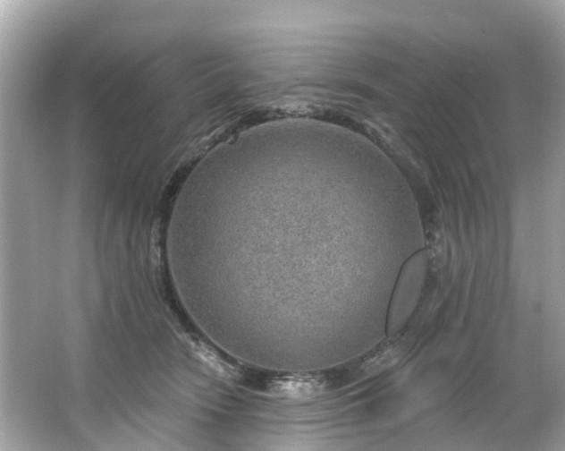 X0000063530466200601231546