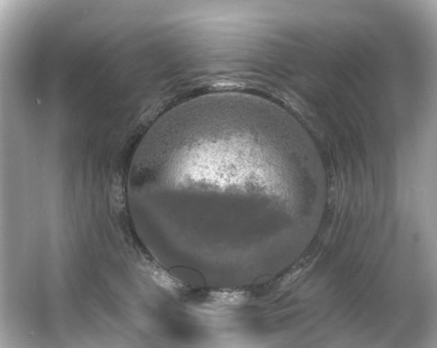 X0000063530469200601231546