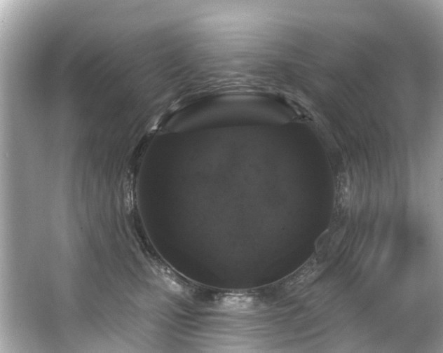 X0000063530471200601231546