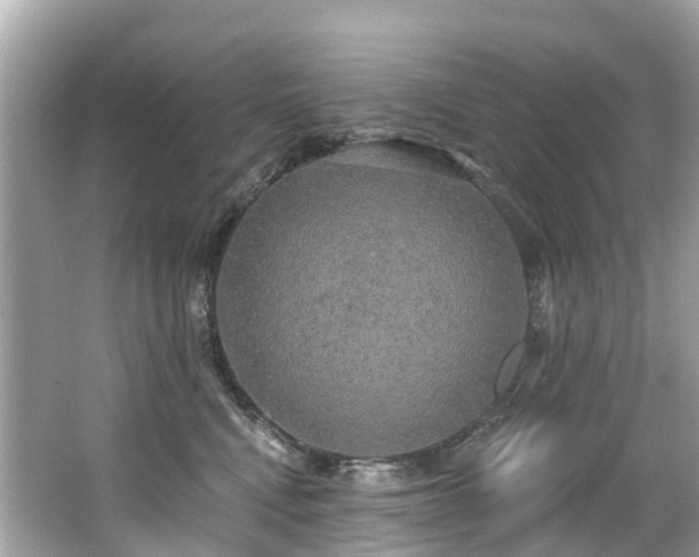 X0000063530472200601231546