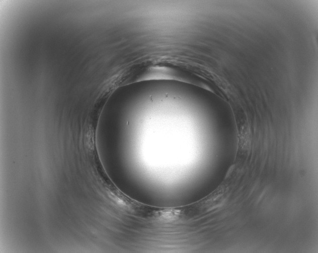 X0000063530474200601231546