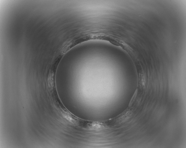 X0000063530475200601231546