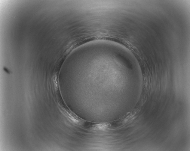 X0000063530479200601231546