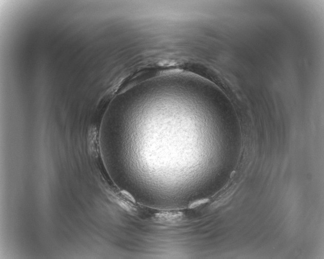 X0000063530480200601231546