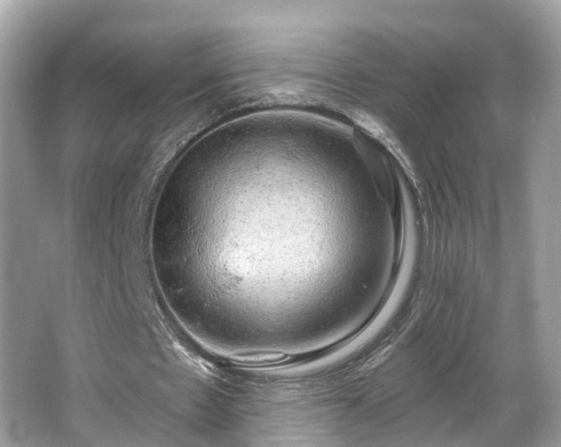 X0000063530481200601231546