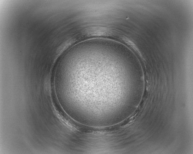 X0000063530482200601231546