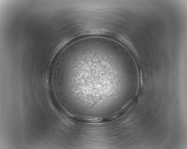 X0000063530483200601231546