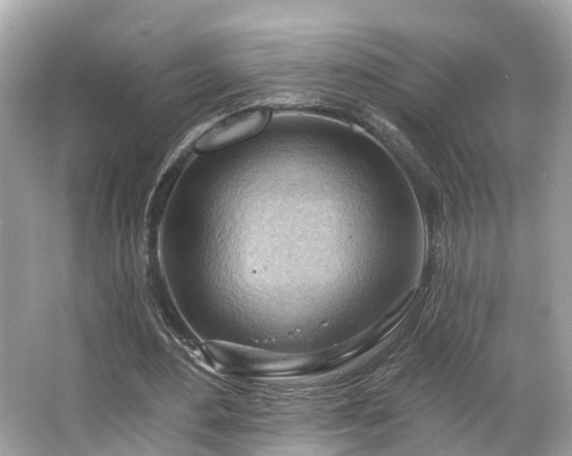 X0000063530484200601231545