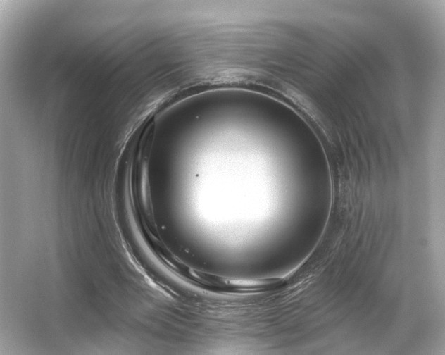 X0000063530485200601231545