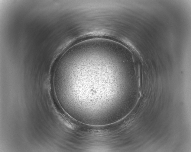 X0000063530486200601231545