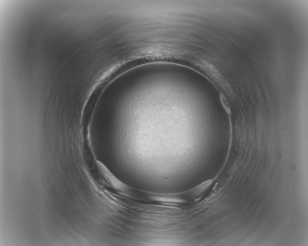 X0000063530488200601231545