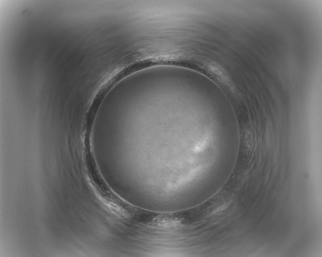 X0000063530491200601231545