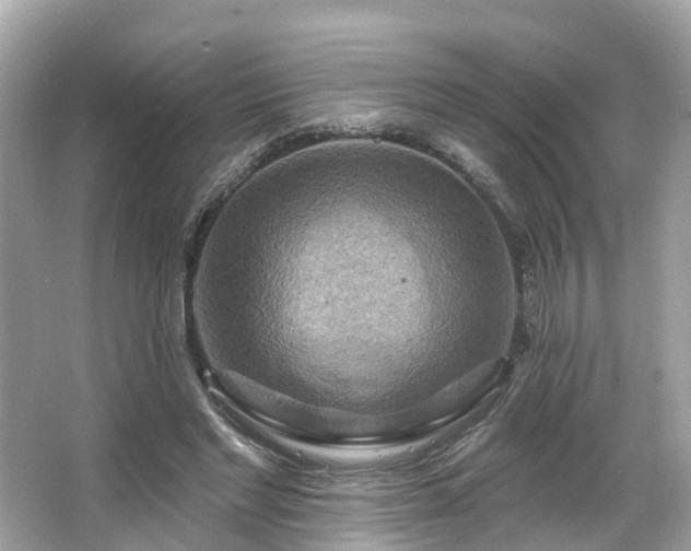 X0000063530493200601231545