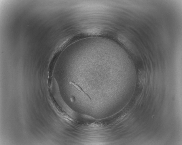 X0000063530494200601231545