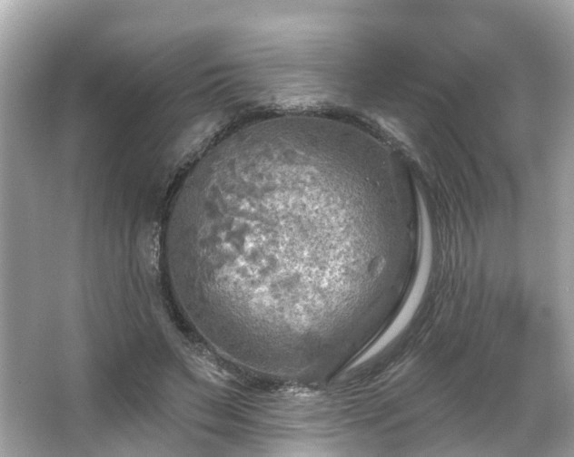 X0000063530495200601231545