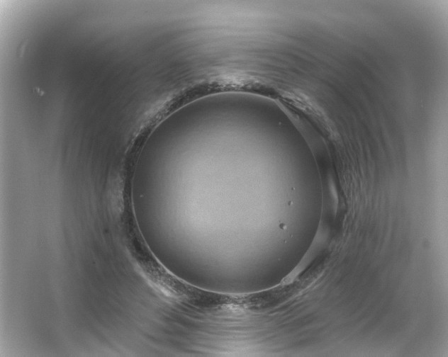 X0000063530496200601231545