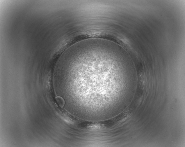 X0000063530499200601231545