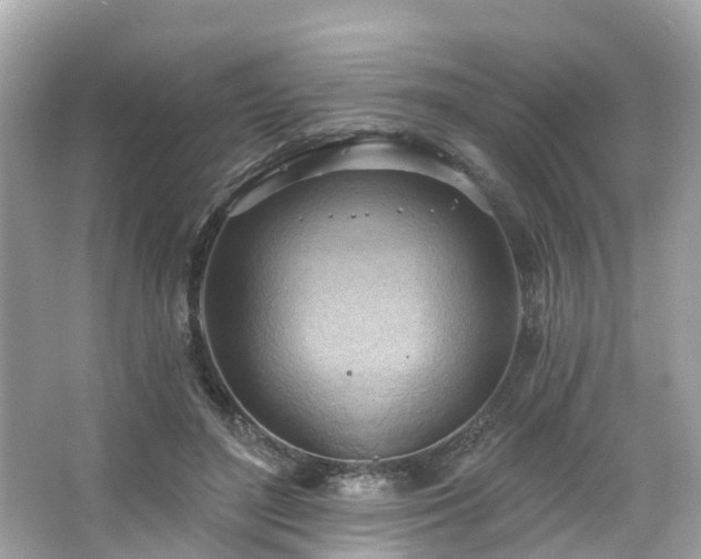 X0000063530500200601231545