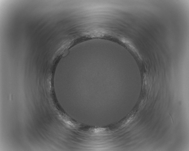 X0000063530501200601231545