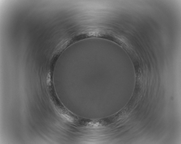 X0000063530502200601231545