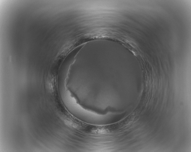 X0000063530503200601231545