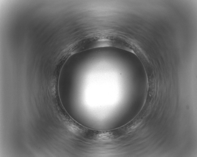 X0000063530505200601231545