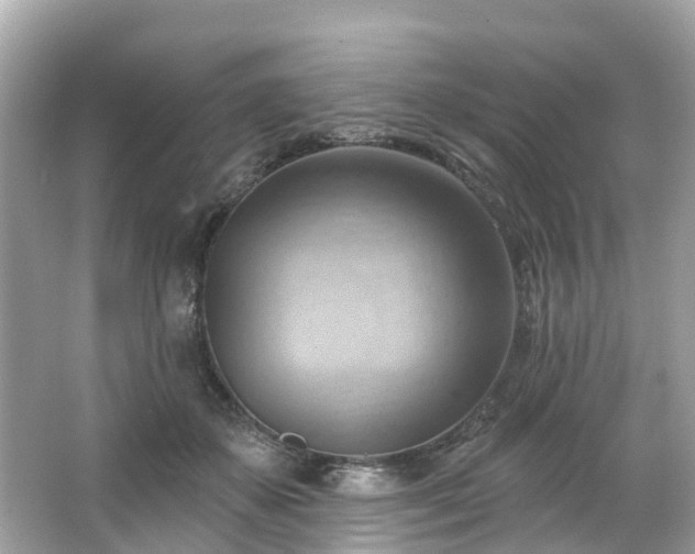 X0000063530507200601231545