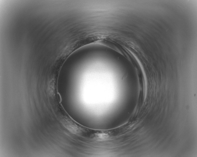 X0000063530509200601231545