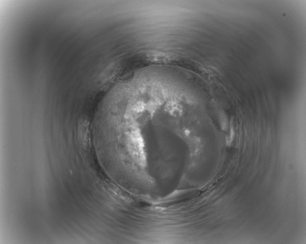 X0000063530511200601231545