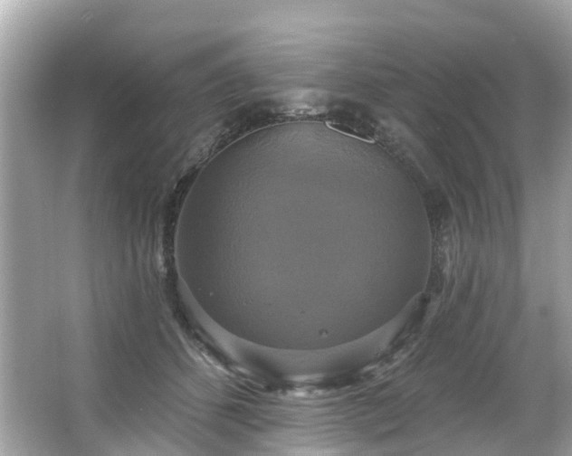 X0000063530512200601231545