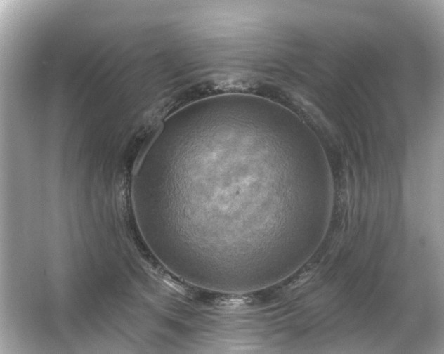 X0000063530513200601231545