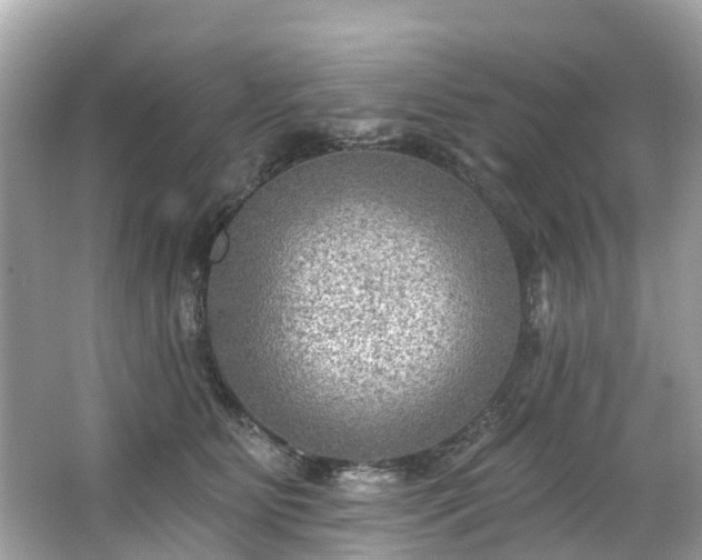 X0000063530515200601231545